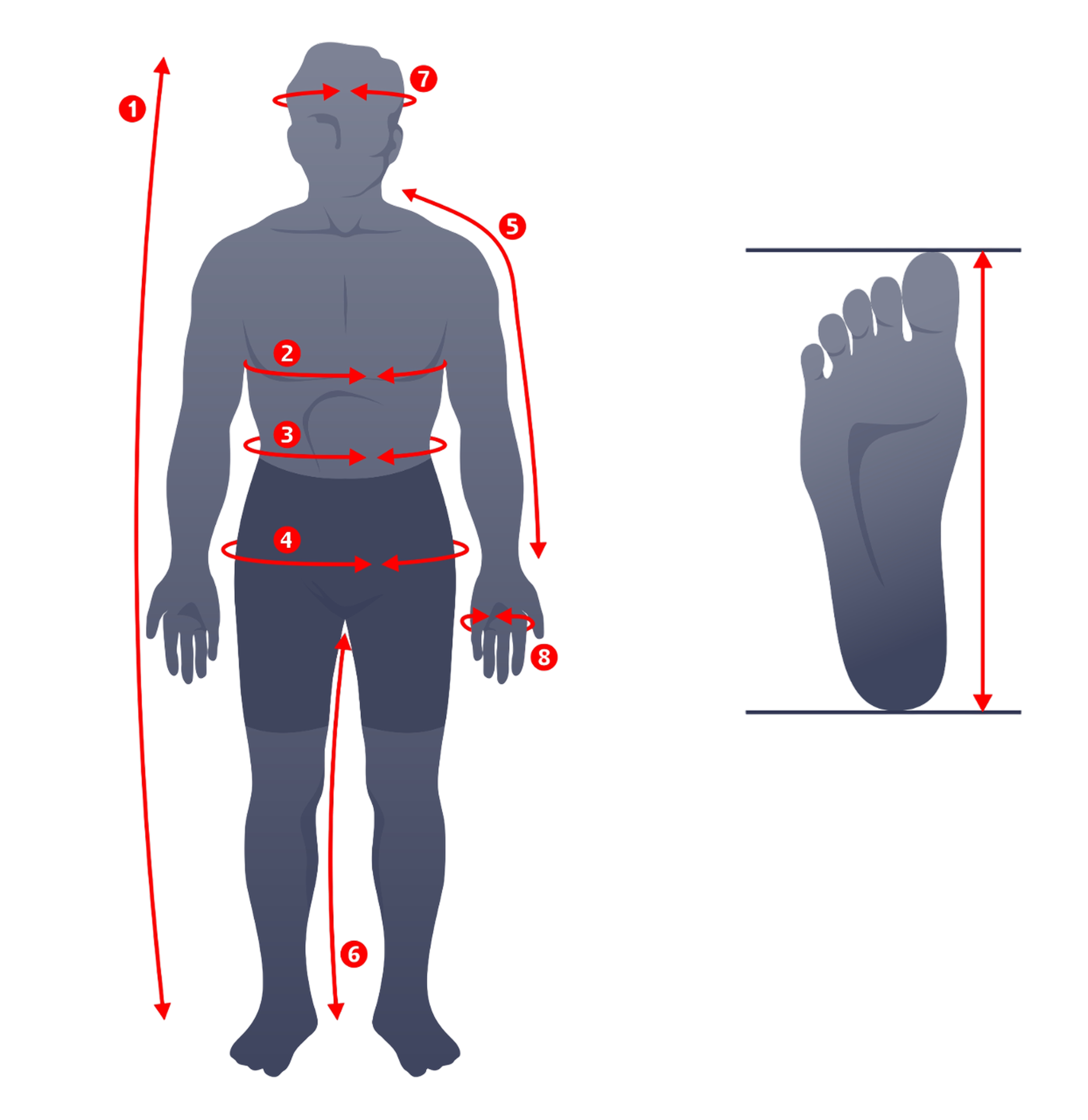 catalog image