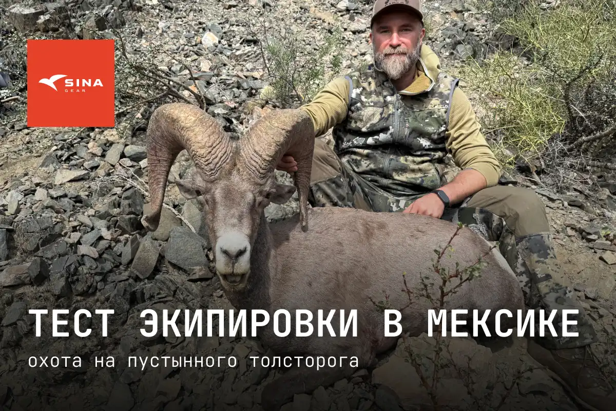 «Колючки пробивают даже обувь»: охота на пустынного толсторога и тест экипировки в Мексике