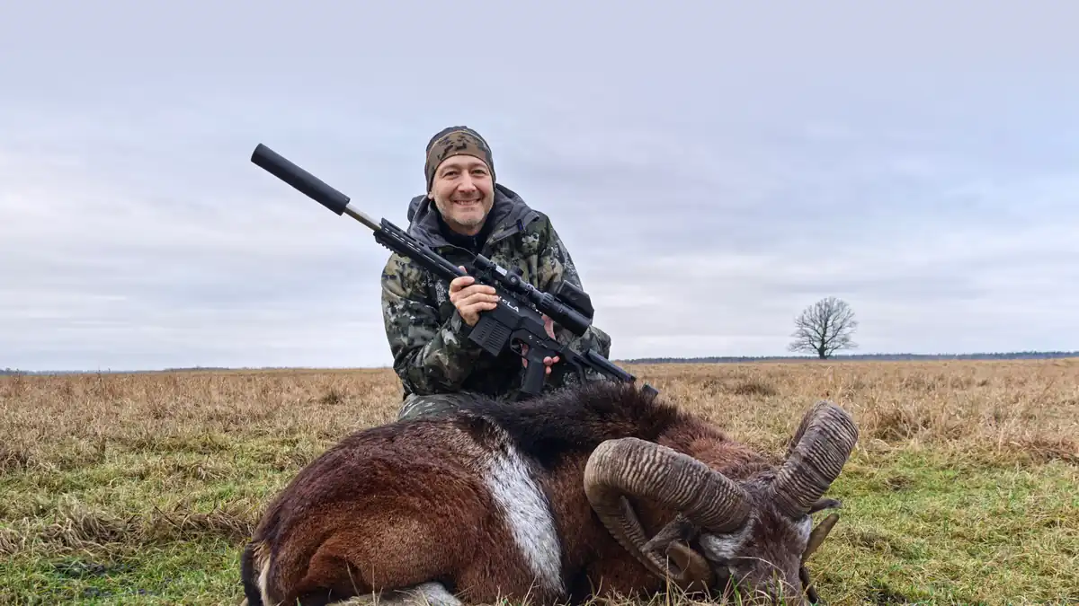 Муфлон в Беларуси от Евгения Спиридонова