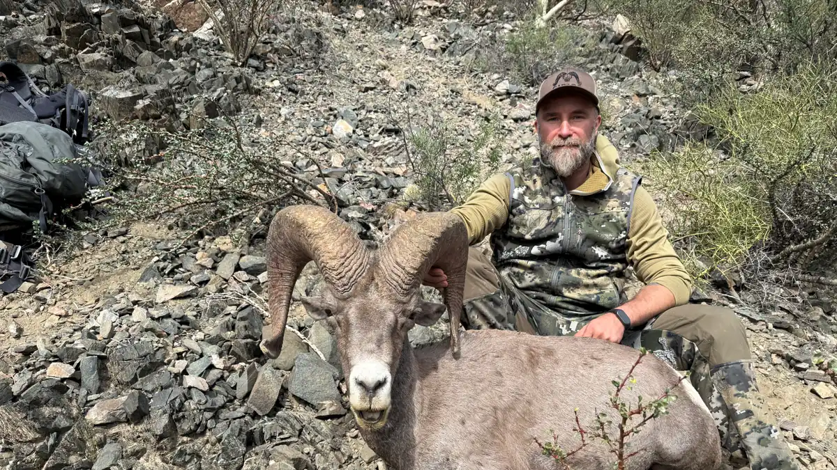 «Колючки пробивают даже обувь»: охота на пустынного толсторога и тест экипировки в Мексике