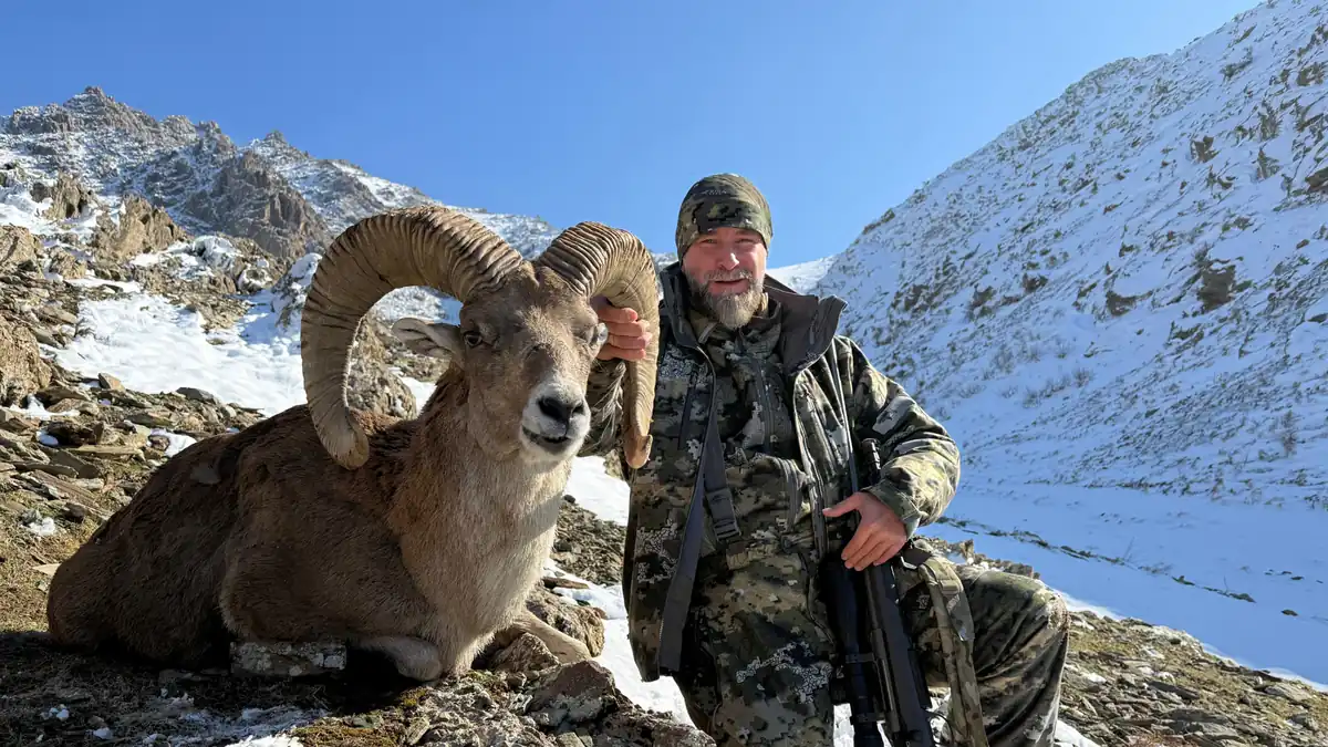 Охота на аргали Северцова