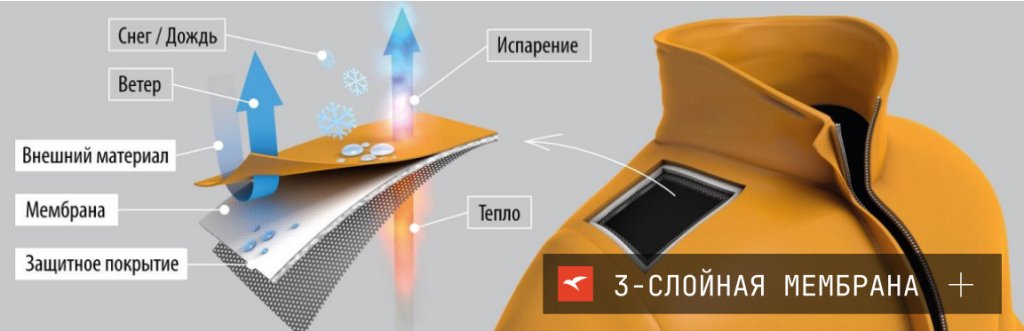 Картинка 2.jpg